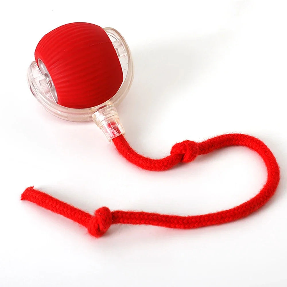 Interactive Indoor Pet Ball – Smart, Rolling 360°, USB Charging & Intelligent Movement