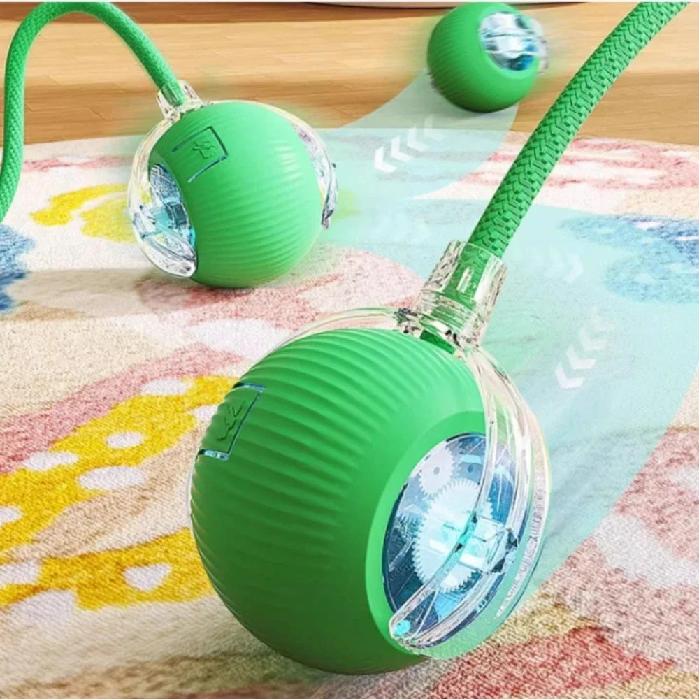 Interactive Indoor Pet Ball – Smart, Rolling 360°, USB Charging & Intelligent Movement