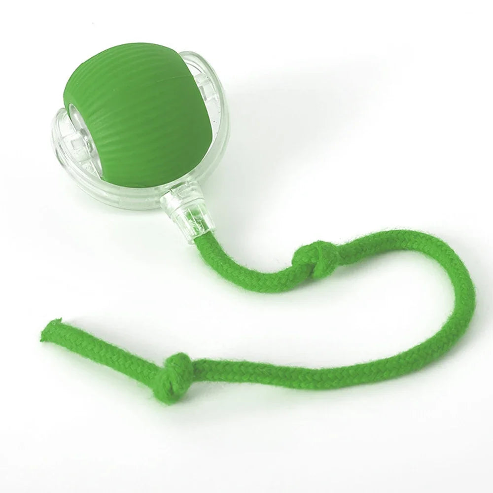 Interactive Indoor Pet Ball – Smart, Rolling 360°, USB Charging & Intelligent Movement