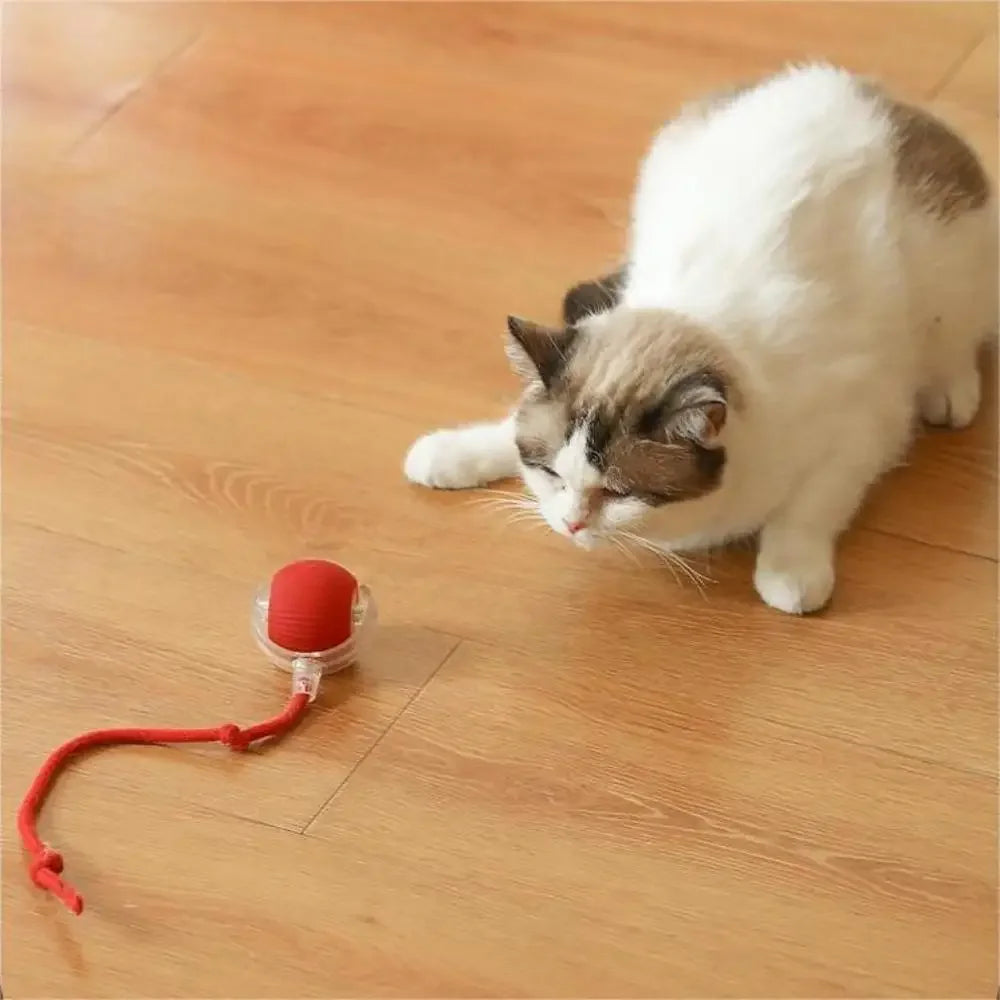 Interactive Indoor Pet Ball – Smart, Rolling 360°, USB Charging & Intelligent Movement