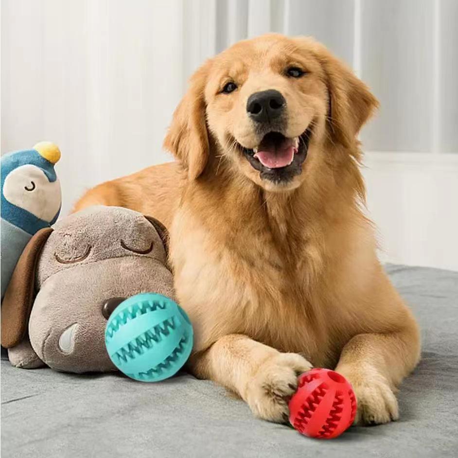 Rope Treat Ball Dog Toy