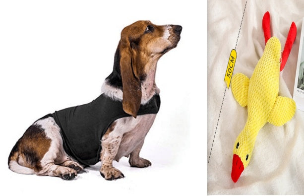 Anxiety Jacket Vest Summer Medical Treatment To Calm Down Cat Clothes Dog Comfort Clothes