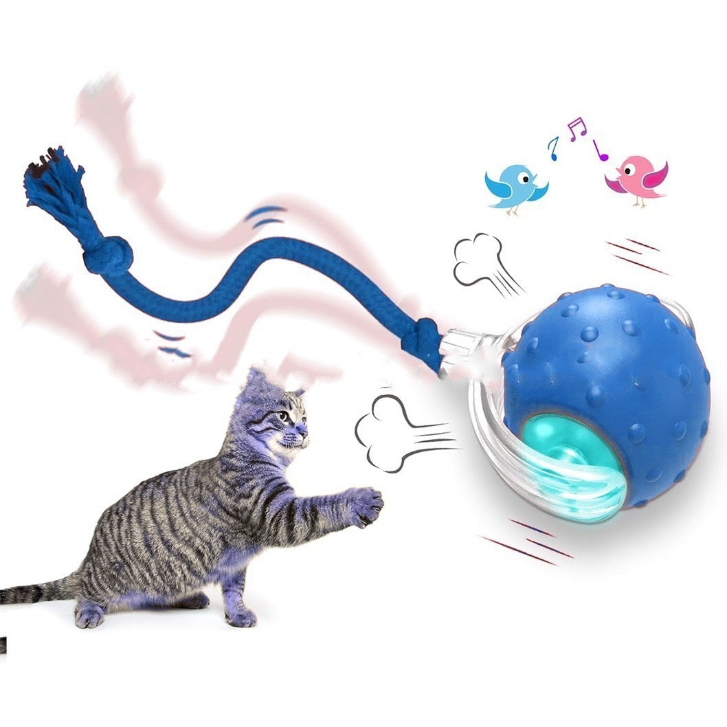 Interactive Rolling Cat Ball