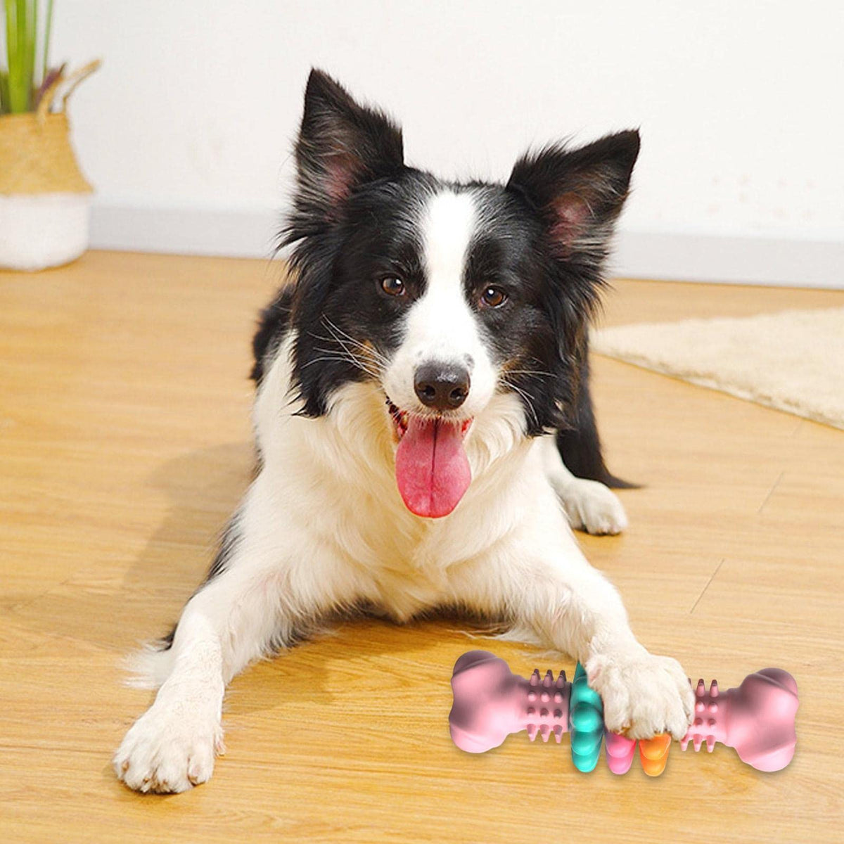 TPR Dog Bone Chew Toy
