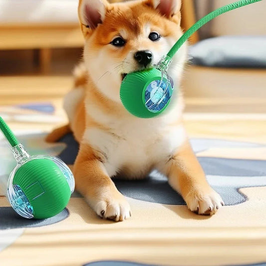 Interactive Indoor Pet Ball – Smart, Rolling 360°, USB Charging & Intelligent Movement