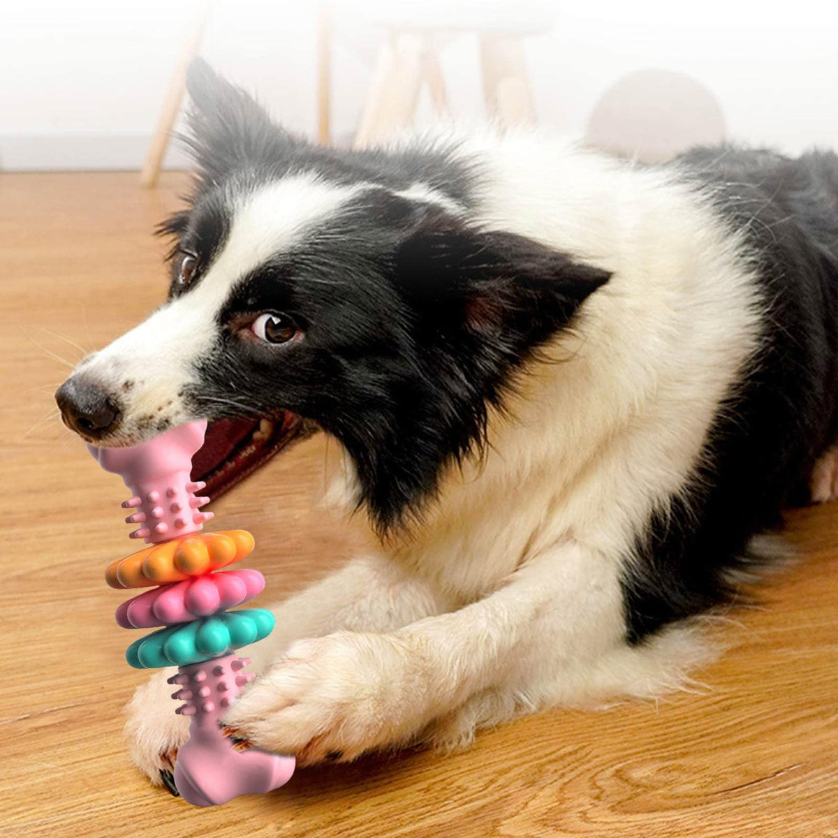 TPR Dog Bone Chew Toy