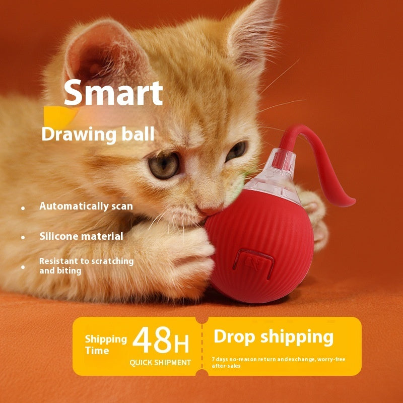 Interactive Rolling Cat Ball